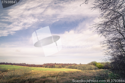 Image of Countryside landscape with fields in the autumn