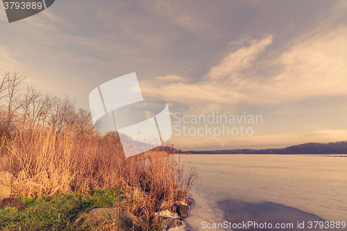 Image of Reed at a frozen river