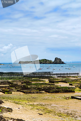 Image of Oyster beds in Cancale, France