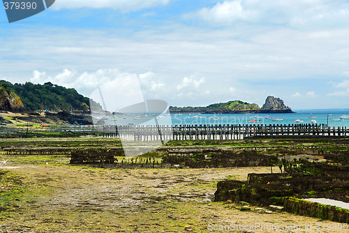 Image of Oyster beds in Cancale, France