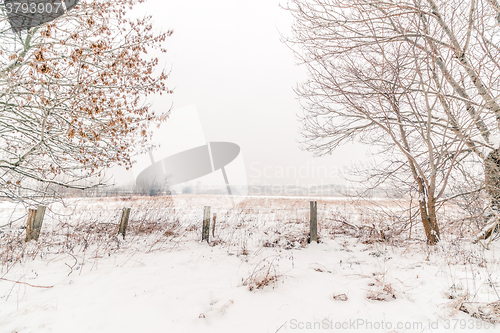 Image of Countryside winter landscape with a fence