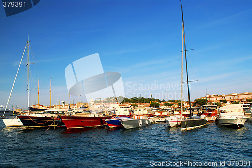 Image of Boats at St.Tropez