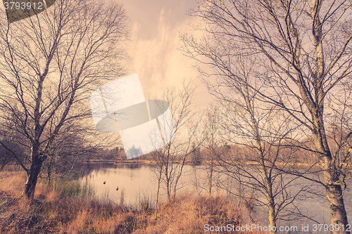 Image of Idyllic lake with ducks