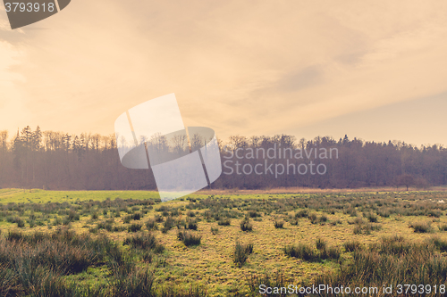 Image of Sunrise scenery with a green field