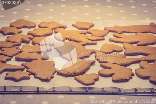 Image of Cookies for xmas on a sheet