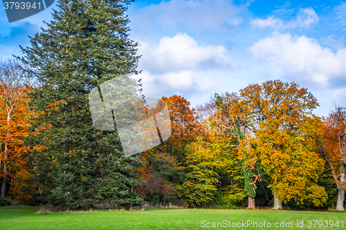 Image of Trees changing colors in the autumn