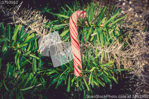 Image of Sugar cane hanging on a Christmas tree