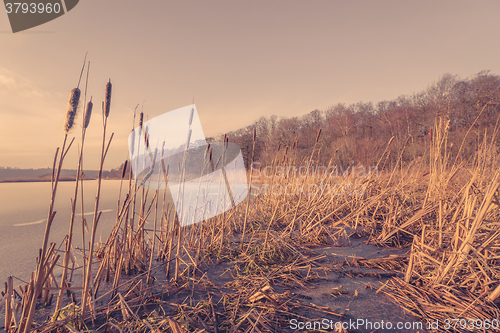 Image of Reed at a frozen lake