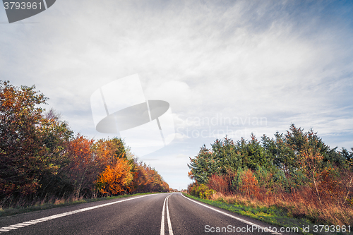 Image of Asphalt way in autumn