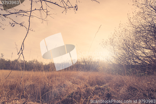 Image of Autumn meadow in the sunset