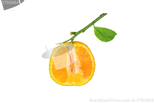 Image of Clementine isolated on white background