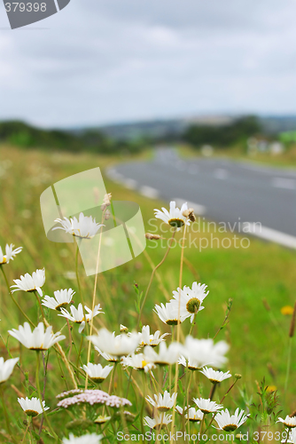 Image of Country road