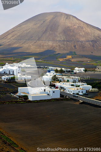 Image of city cultivation home viticulture  lanzarote  
