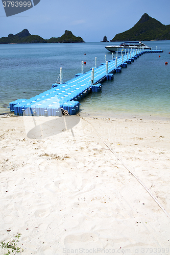 Image of plastic pier  coastline of a  green lagoon and tree  south rope