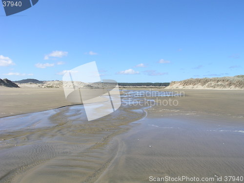 Image of Tracks on the beach