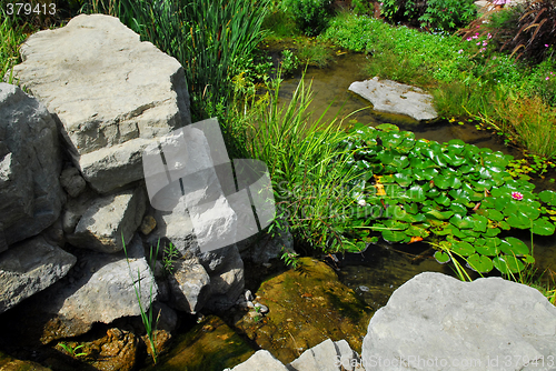 Image of Pond landscaping