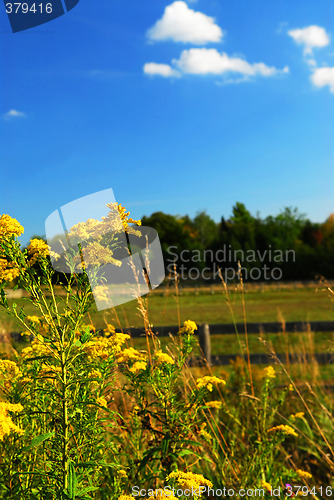 Image of Rural landscape