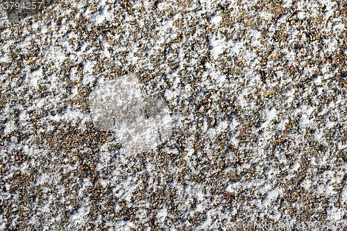 Image of Snow on the ground.