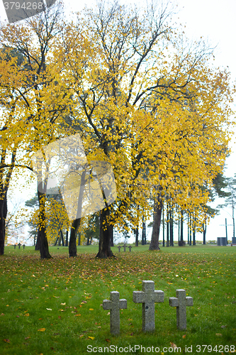 Image of Three tombstone crosses.