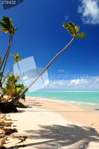 Image of Tropical beach