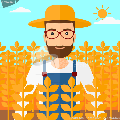 Image of Man in wheat field.