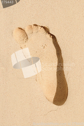 Image of Footprint in sand