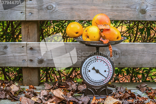 Image of Apples on a weight