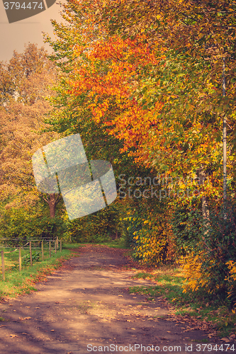 Image of Colorful trees by a trail in a park