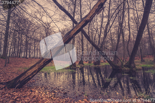 Image of Forest lake with a cross of trees