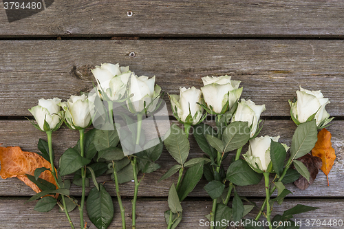 Image of White roses on wooden background