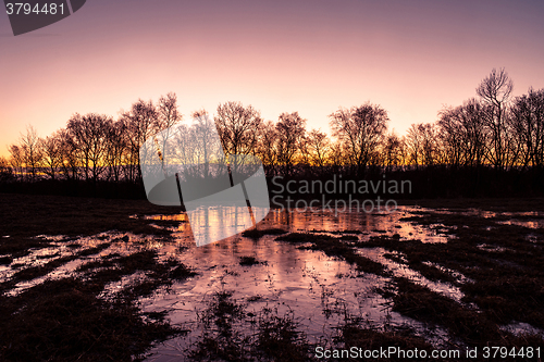 Image of Winter landscape with frozen water