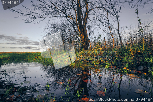 Image of Autumn scenery with a puddle