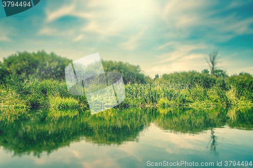 Image of Green grass by a lake