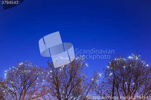 Image of Illuminated treetops at Advent time