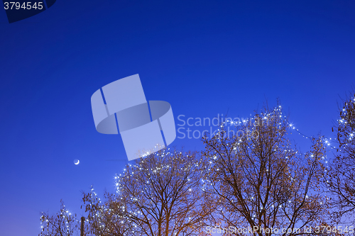 Image of Illuminated treetop in Zagreb