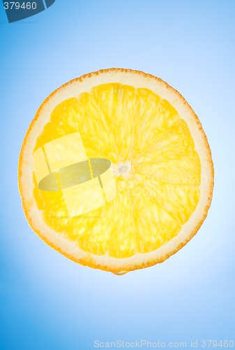 Image of orange slice