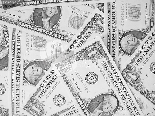 Image of Black and white Dollar notes 1 Dollar