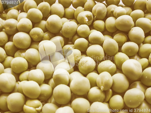 Image of Retro looking Green peas vegetable background