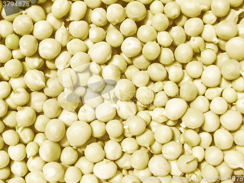 Image of Retro looking Peas picture