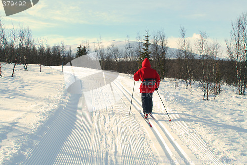 Image of Skiing