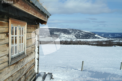 Image of Winter landscape