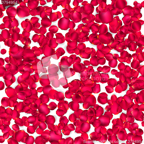 Image of Background of beautiful red rose petals. EPS 10