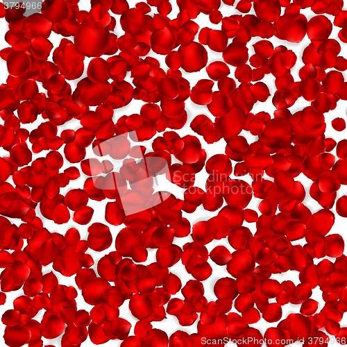 Image of Background of beautiful red rose petals. EPS 10