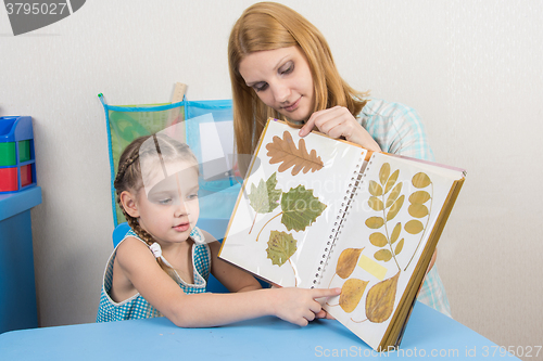 Image of Five-year girl and mother examining herbarium shows on one sheet of an album