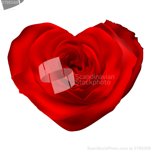 Image of Flower heart. EPS 10