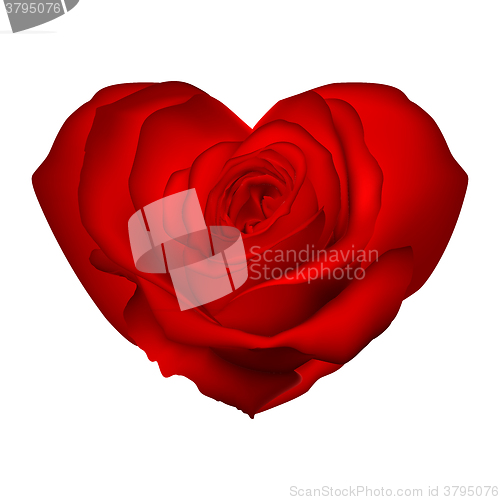 Image of Red rose in the shape of heart. EPS 10