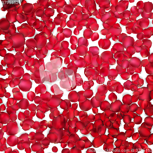 Image of Background of beautiful red rose petals. EPS 10