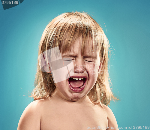 Image of Portrait of a little girl. She is crying