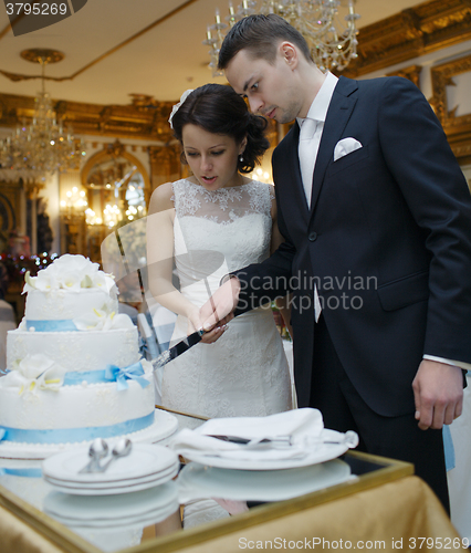 Image of Bride and groom cut the cake