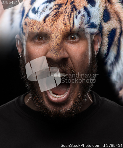 Image of Portrait of young screaming man as tiger